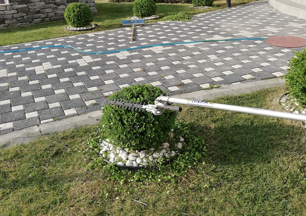 Sakarya Çim Biçme,Bahçe Bakımı ve Temizliği
